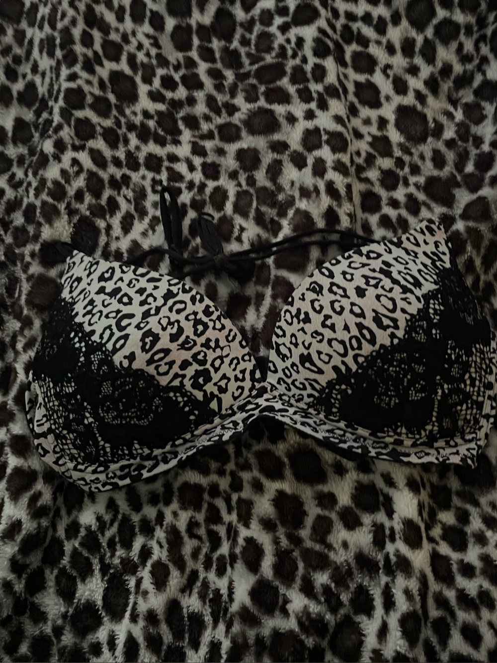 Leopard Print Lace Trim Bra/bikini top in Black and Cream